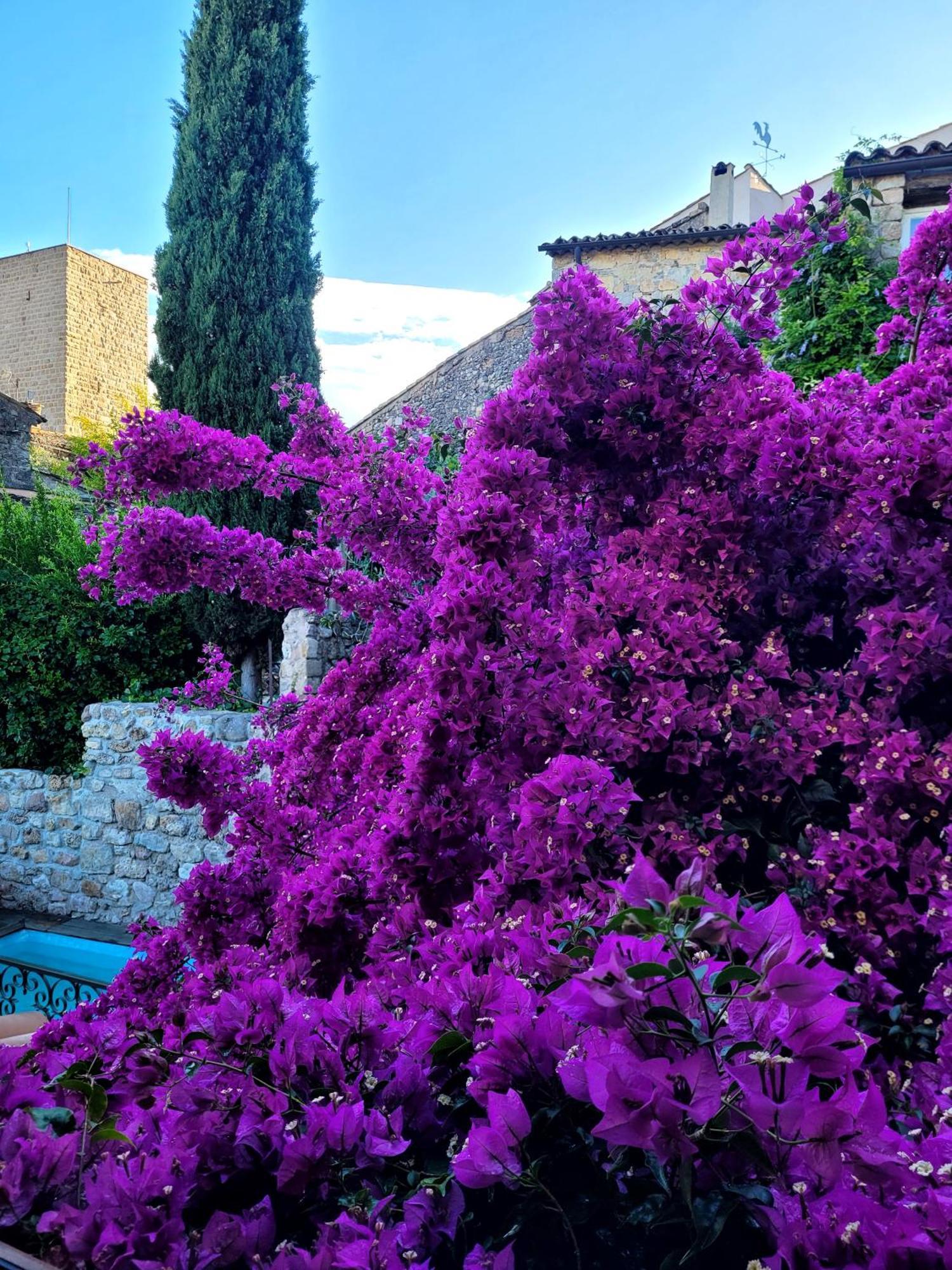 Arca Guest house 3*
