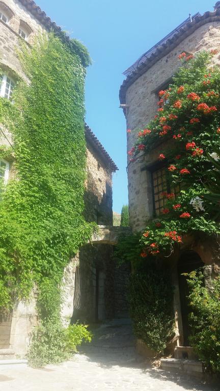 Guest house Arca