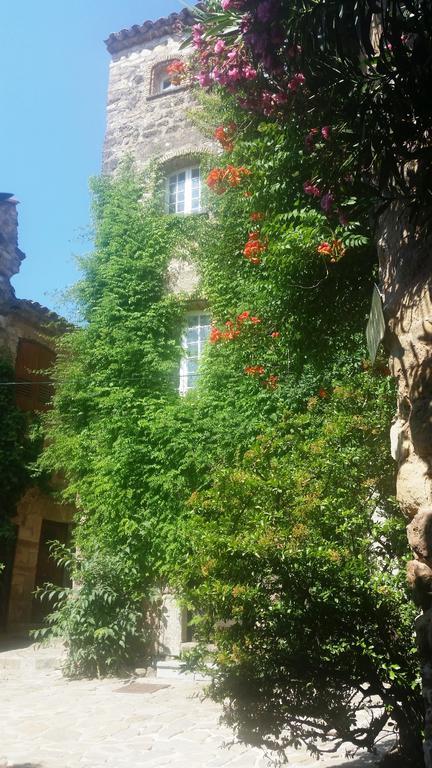 Arca Guest house