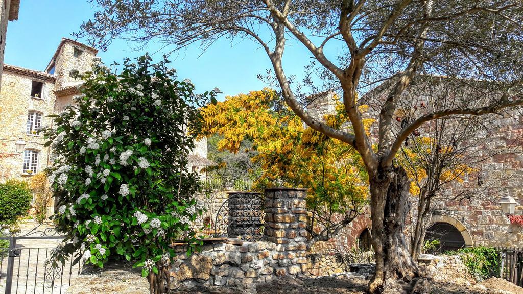 Arca Guest house
