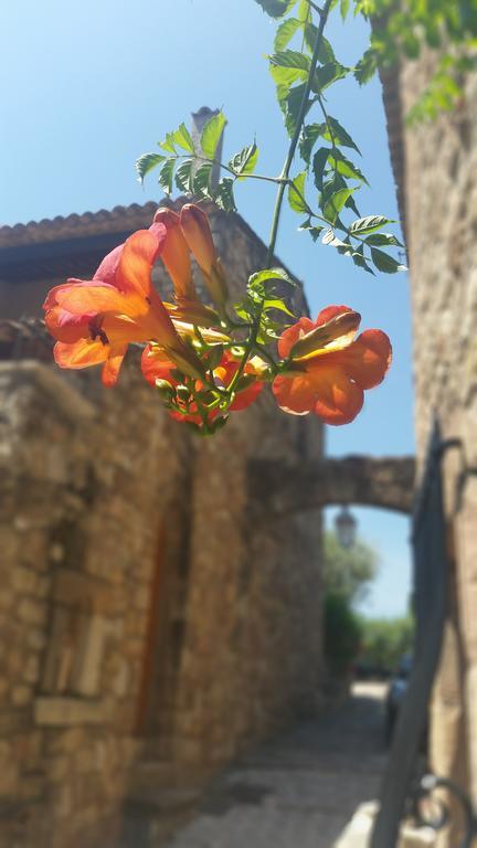 Arca Les Arcs-sur-Argens